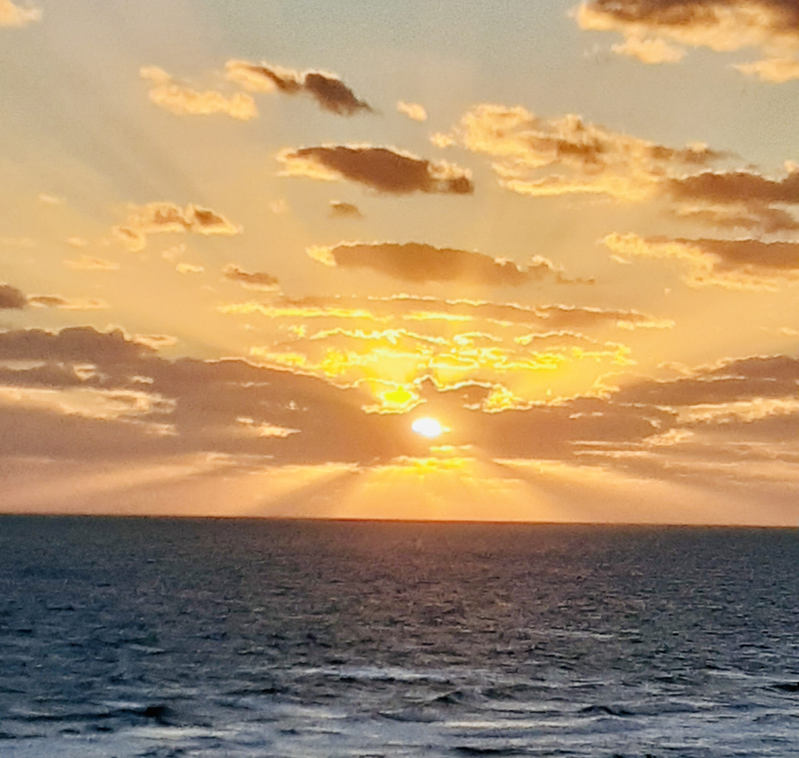 Week 6 – Belief